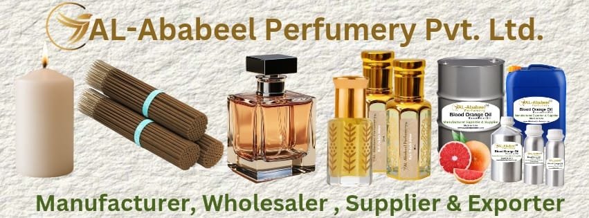 whatsapp image 2026 01 24 at 20.31.09